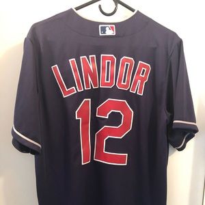 Blue majestic Lindor jersey